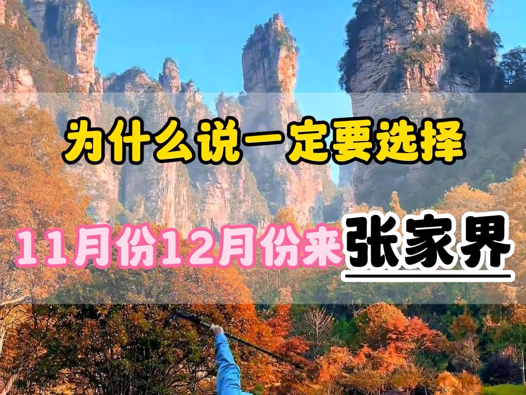 为什么说一定要十一月份十二月份来一趟张家界呢?这个视频告诉您#张家界旅游攻略#张家界旅行#湖南旅行#张家界天门山哔哩哔哩bilibili