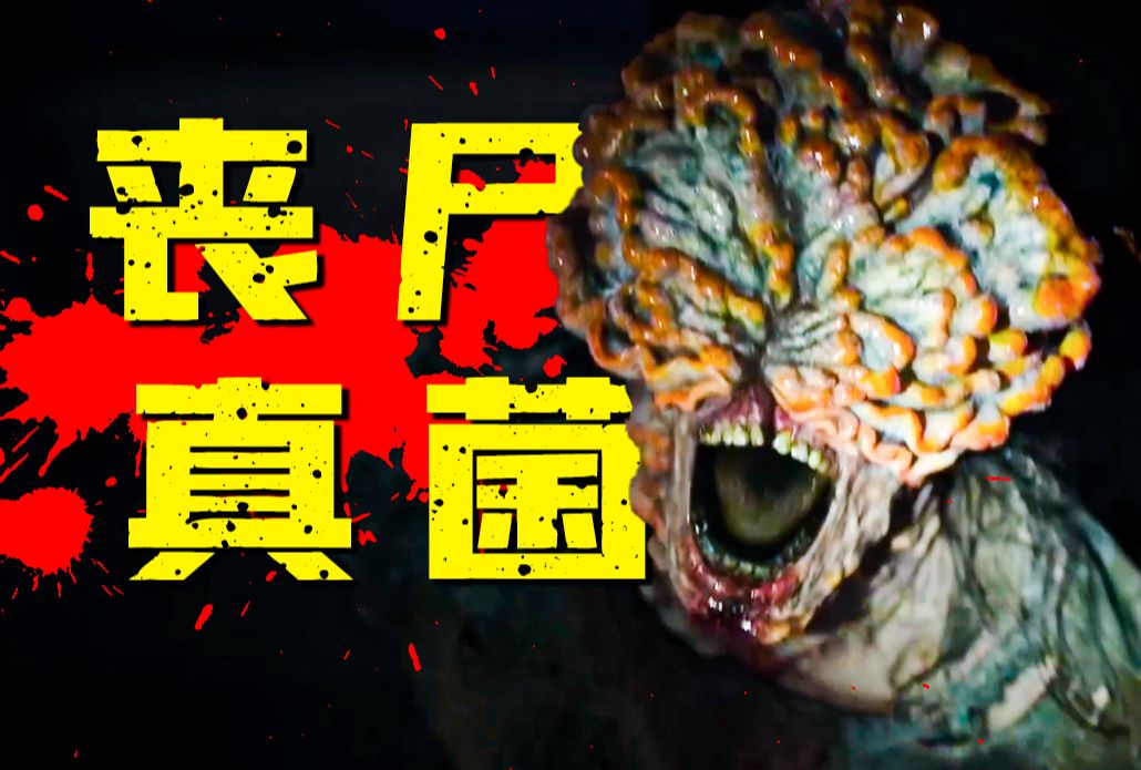 普通人在《最后生还者2》重置版中惨遭丧尸真菌感染,身体和器官会发生