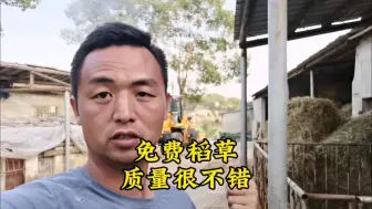 Video herunterladen: 圆捆稻草免费送养牛人，质量遭到网友质疑，大家觉得怎么样？