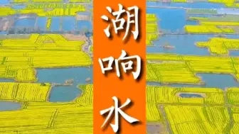 Download Video: 安徽芜湖响水涧油菜花开了！一起来看花海吧！