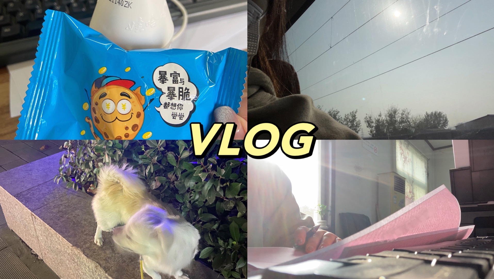 vlog | 小城生活流水账 | 记录本周的工作日 | 下班后的零碎片段 | 小王的平凡生活哔哩哔哩bilibili