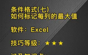 Download Video: EXCEL条件格式详解之7