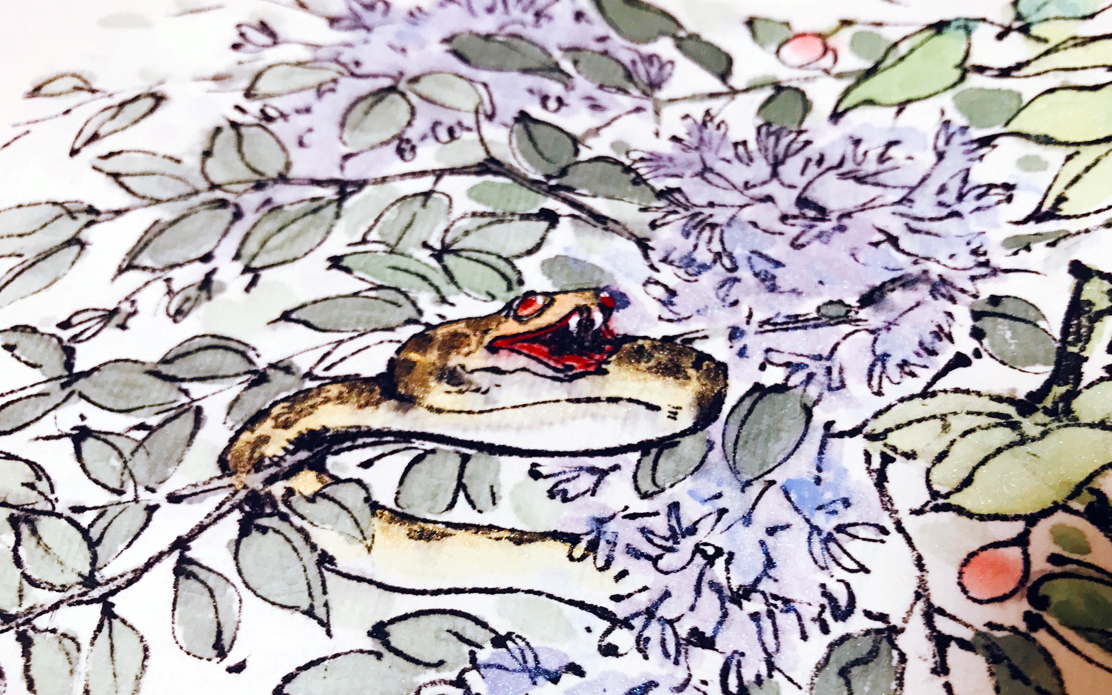 山海经绘画棪木反鼻虫