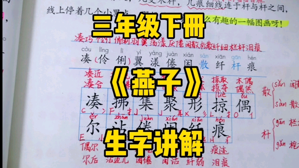 三年级语文下册:《燕子》生字讲解,精准识字,对比学习,识字量翻倍!哔哩哔哩bilibili