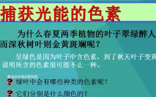 光合色素提取 搜索结果 哔哩哔哩 Bilibili
