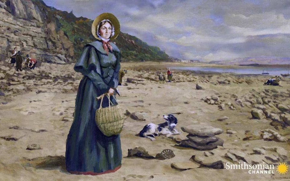 【英文字幕】【CC字幕】伟大的女性古生物学家:玛丽安宁 Mary Anning, The Greatest Fossilist in the World哔哩哔哩bilibili