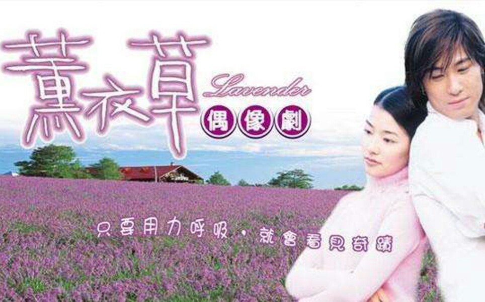 【薰衣草】片头曲《花香》+片尾曲《幸福的瞬间》哔哩哔哩bilibili