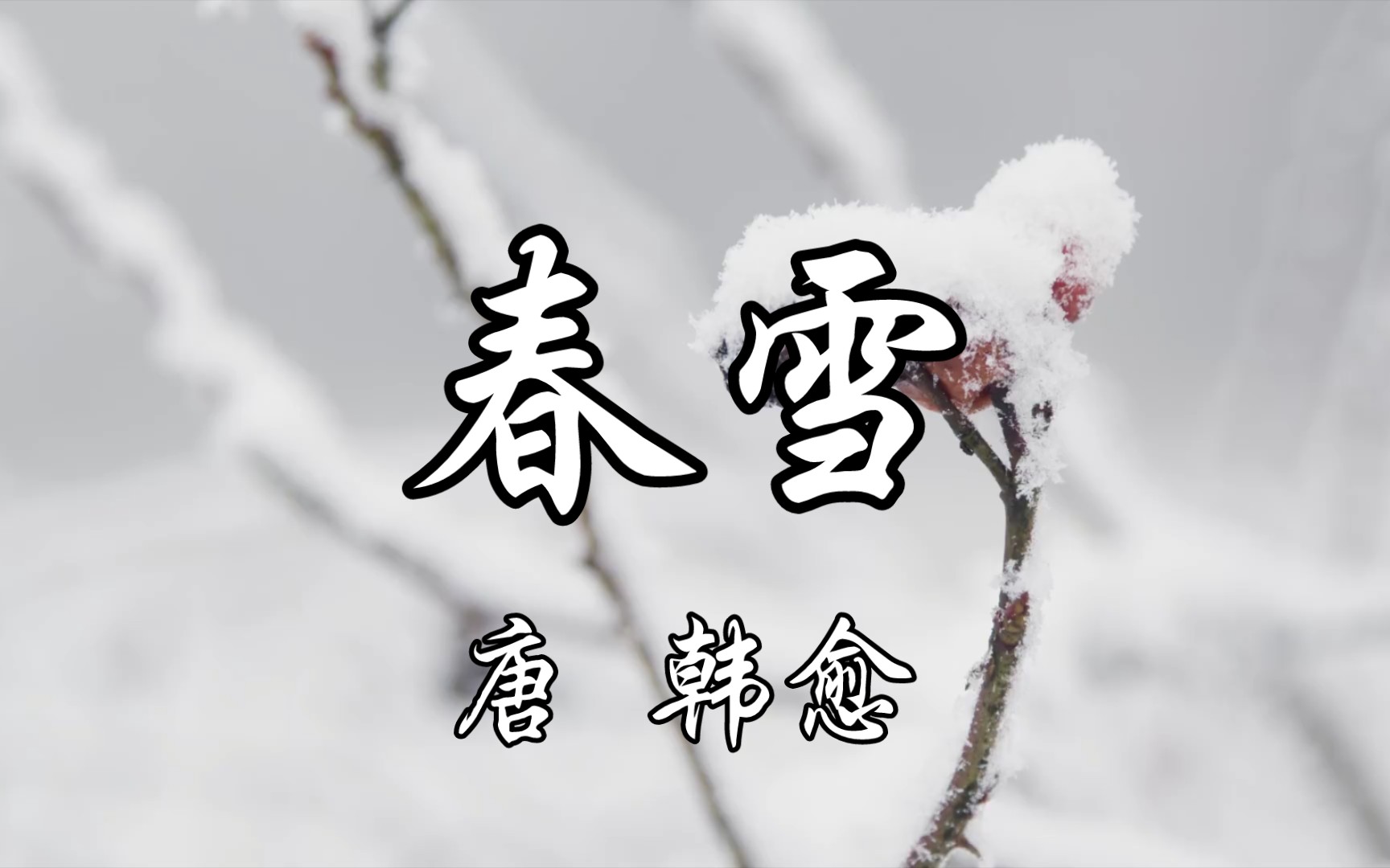 读给你听《春雪》唐 韩愈