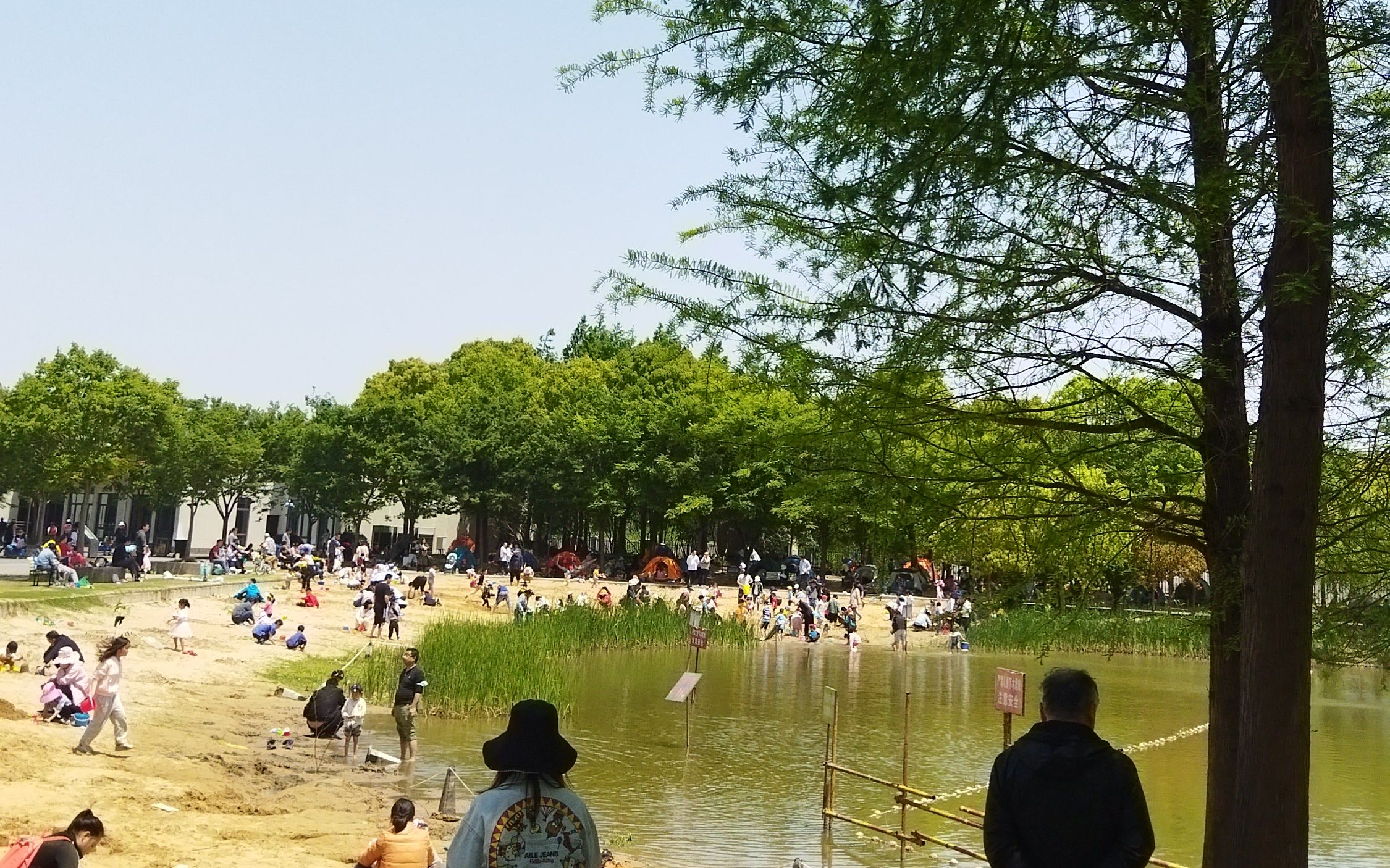 金海湿地公园,我怀念的那一片绿色(16)