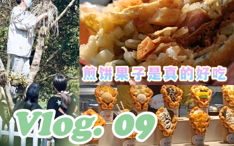 Vlog. 09 杭州的季节就是冬冬夏夏冬冬冬夏夏夏夏哔哩哔哩bilibili