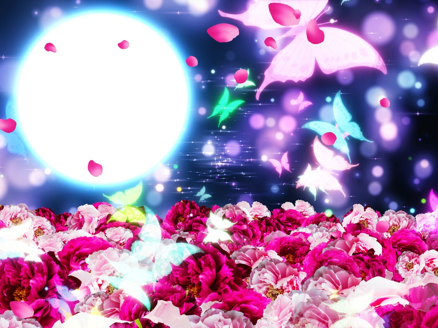 (jf30)浪漫花海粒子婚礼婚庆出场视频素材2