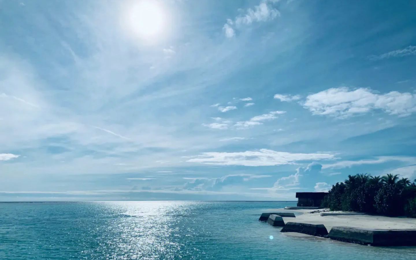 编曲键盘电子琴大海卡西欧ct-x3100