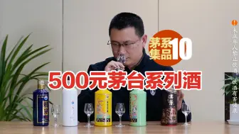 Video herunterladen: 茅台系列酒集品：500左右选谁？汉酱/赖茅精典/王茅祥邦/生肖龙兔