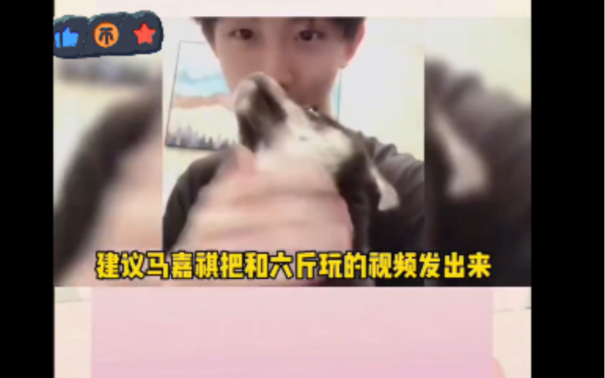 马哥我要看柴六斤