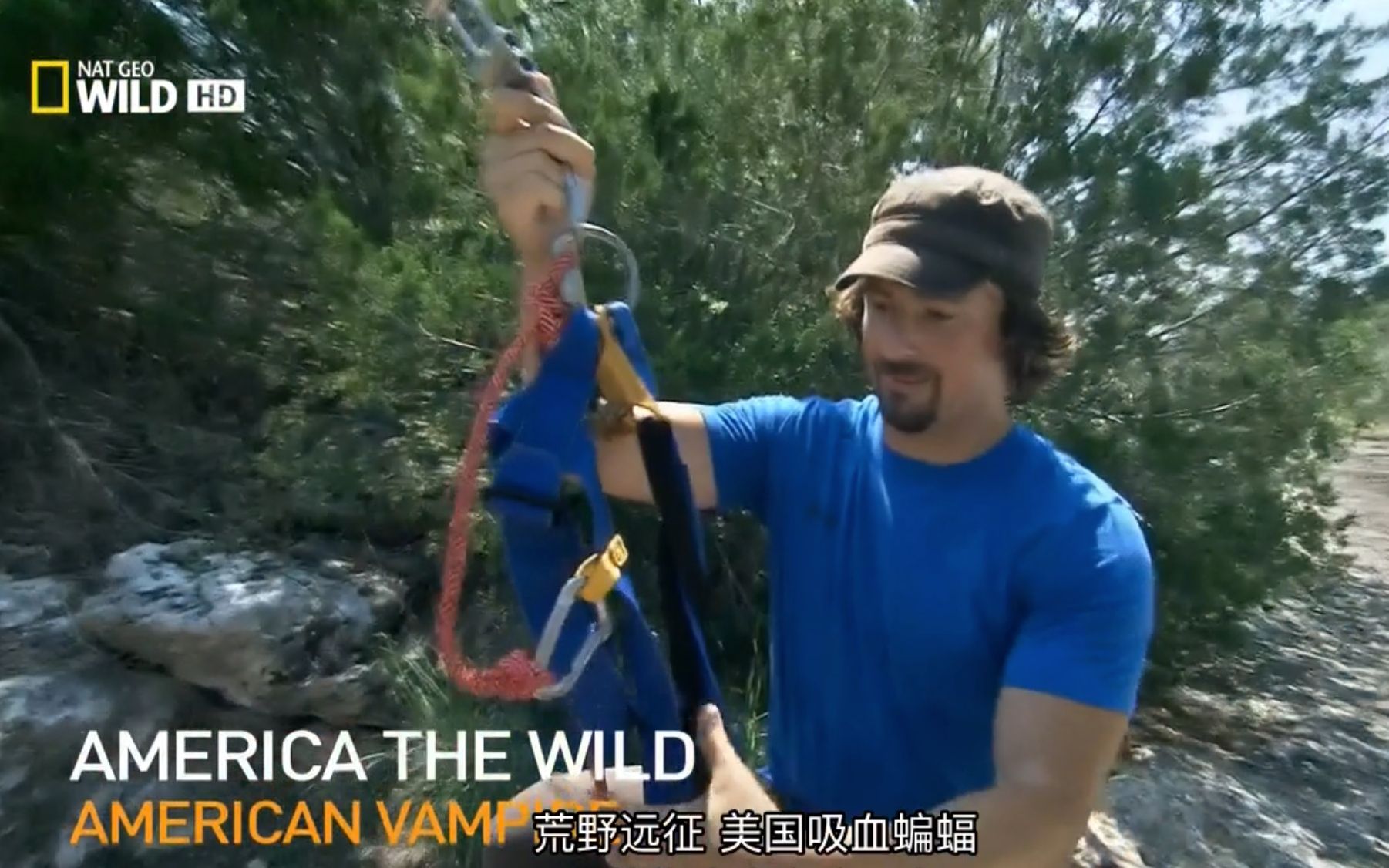 [图]【国家地理频道】荒野远征：美国吸血蝙蝠 Wild America The Wild American Vampire