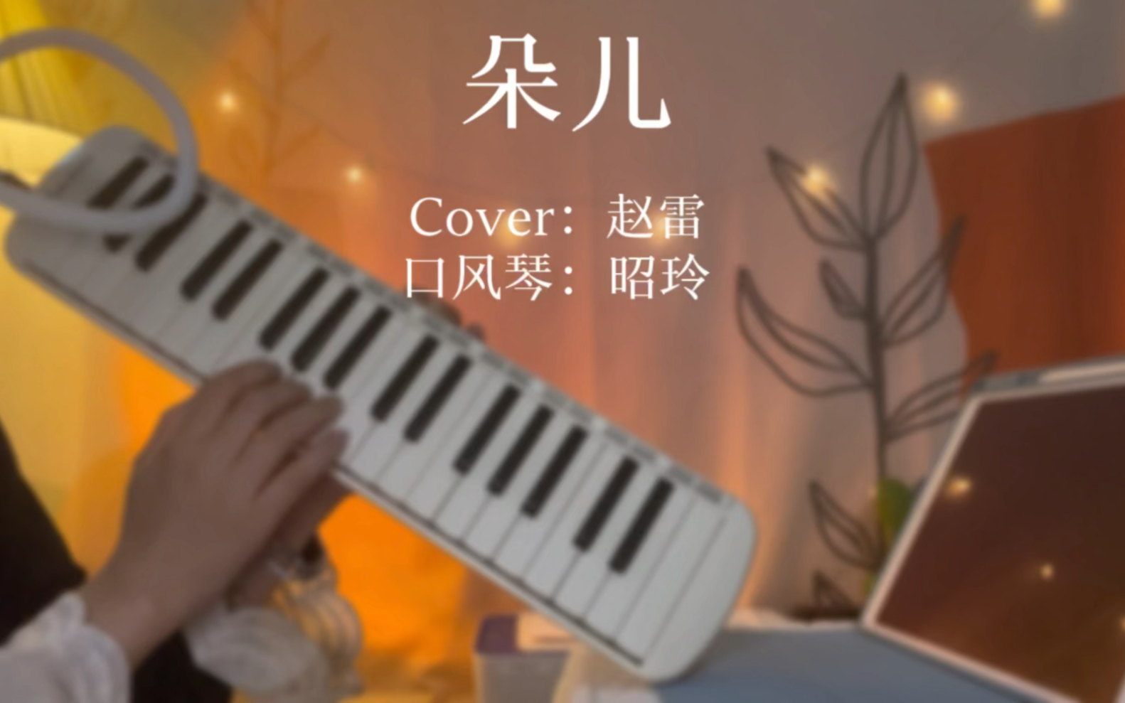 [图]《朵儿》口风琴演奏cover.赵雷