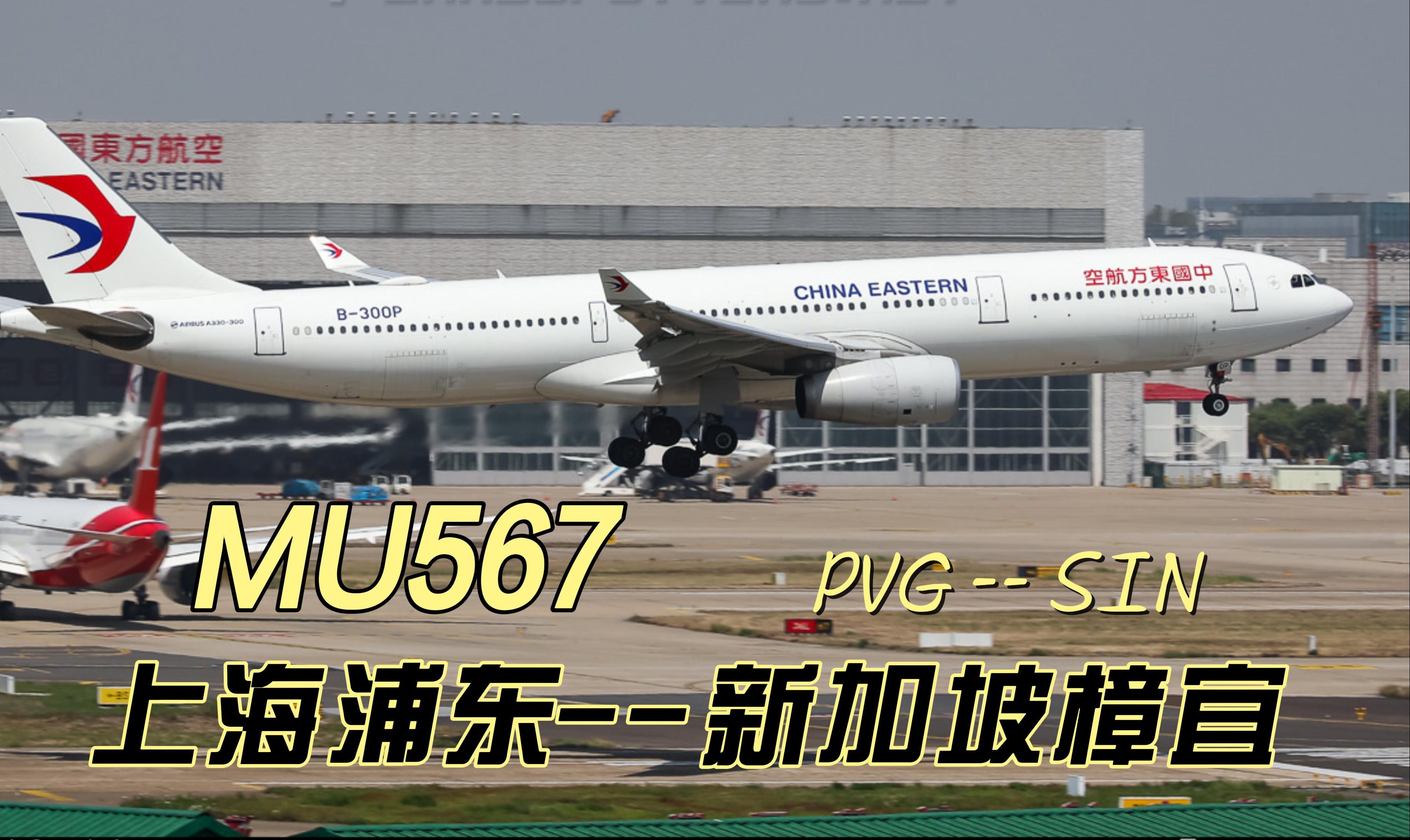 MU567 PVG  SIN哔哩哔哩bilibili