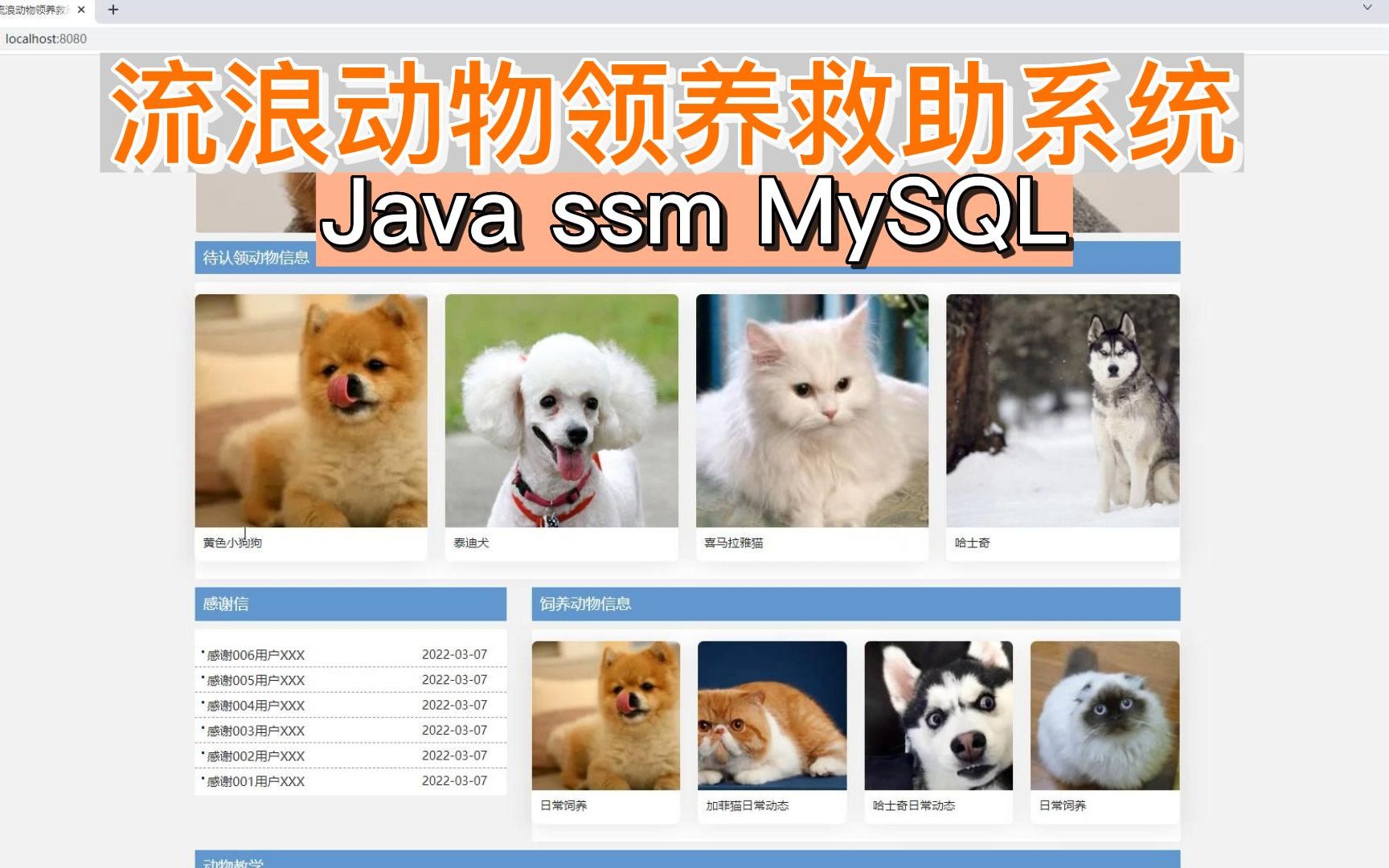 基于SSM框架的流浪动物领养救助系统计算机毕业设计、Java、php、asp.net、Python语言程序定制、网站系统小程序代做哔哩哔哩bilibili