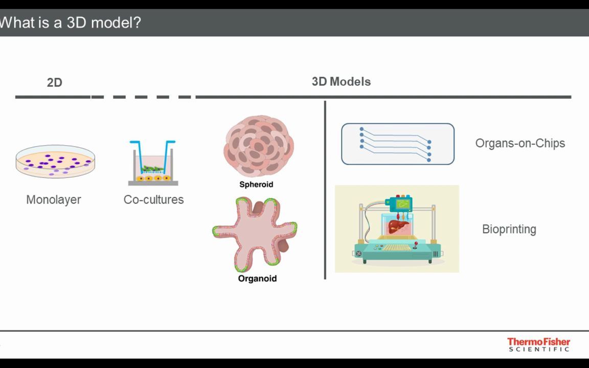 微流控3D生物学简介:类器官培养、球体细胞和与 2D 细胞培养相关的应用哔哩哔哩bilibili