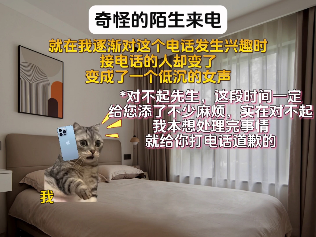 奇怪的陌生来电#故事源于网络 #猫meme剧场 #真实还原哔哩哔哩bilibili