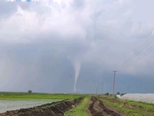 2021年6月9日黑龙江齐齐哈尔梅里斯区小红星屯龙卷风,从水田旁很远