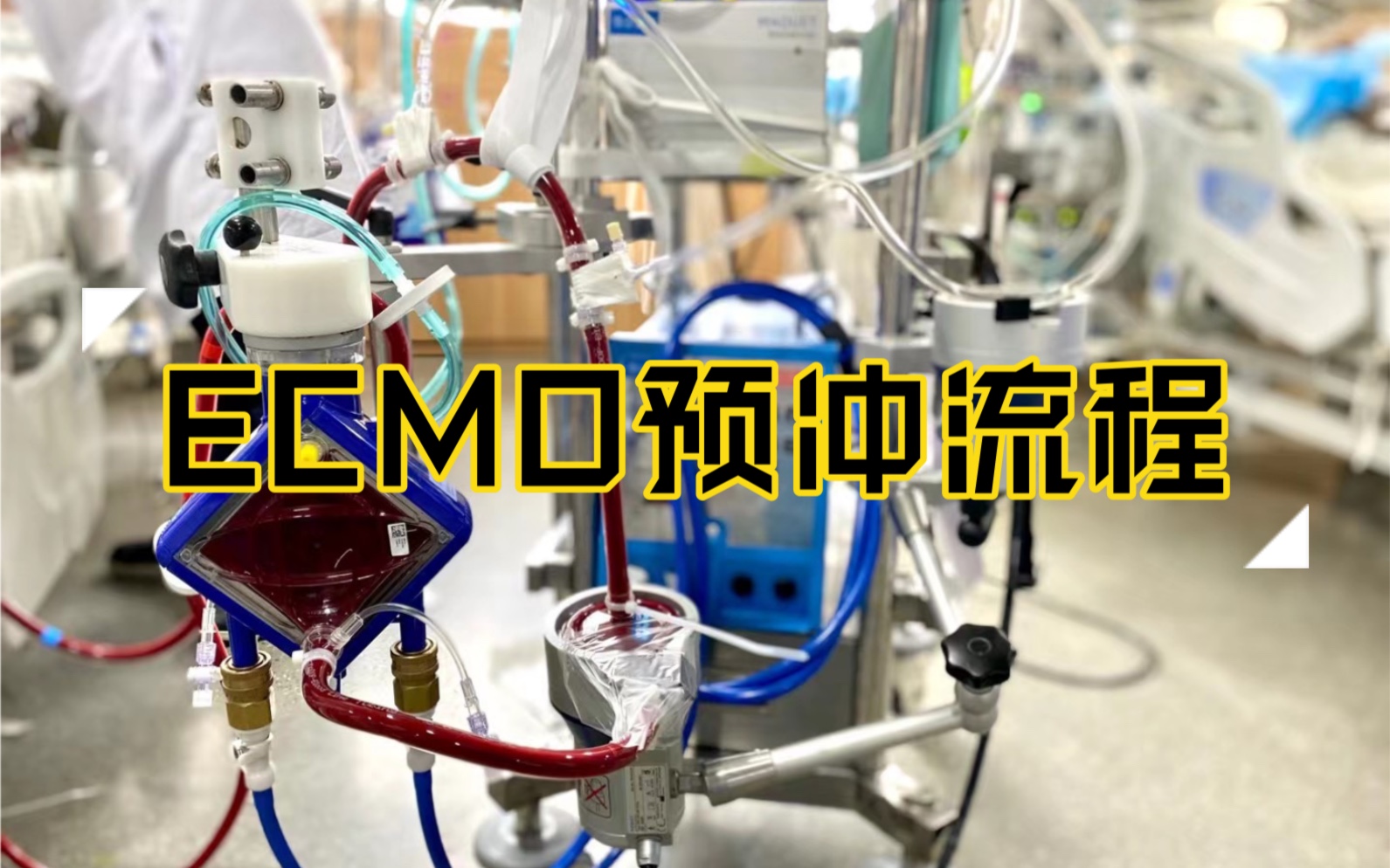 ecmo预充教程(江苏省人民eicu)
