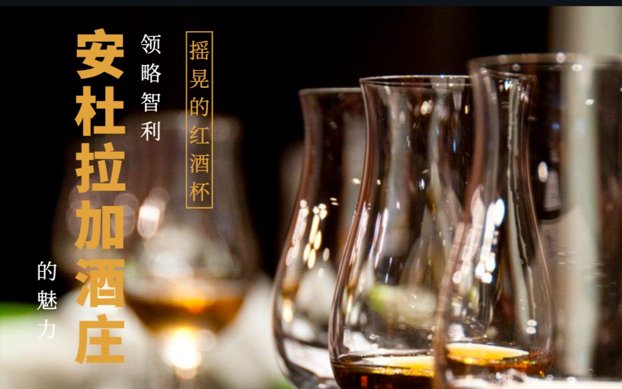 [图]摇晃的红酒杯～领略智利安杜拉加酒庄的魅力