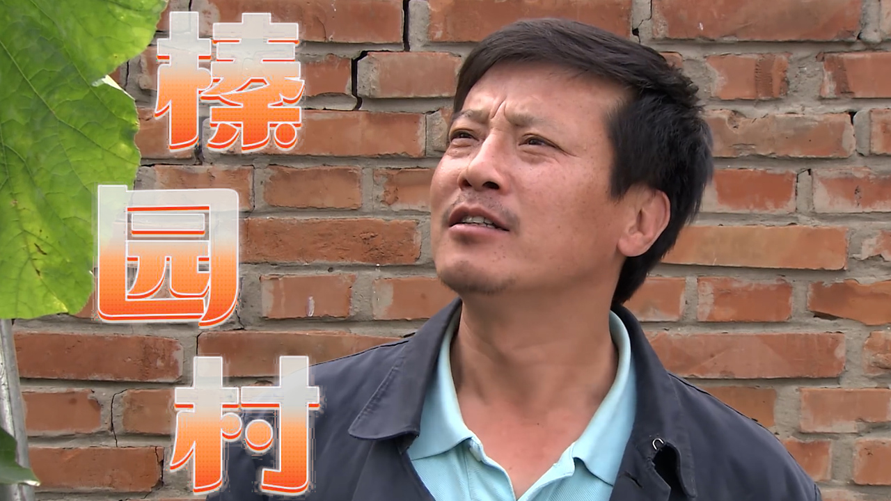 榛园村:丈夫与村花欲行不轨,妻子突然回家逮个正