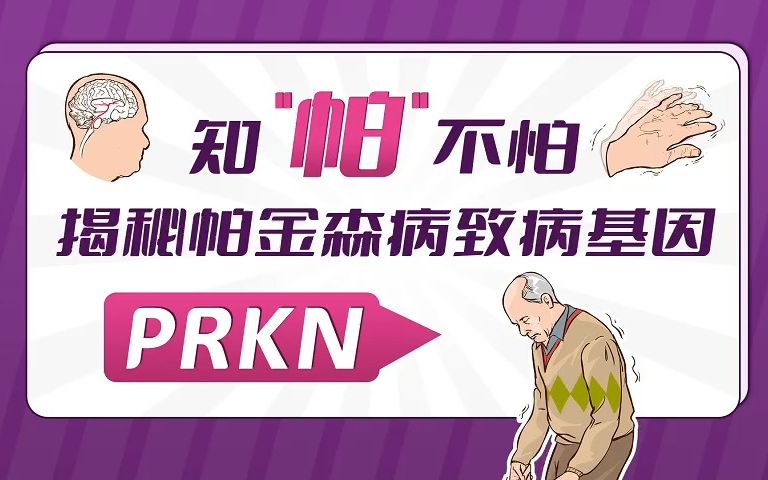 知“帕“不怕|揭秘帕金森病的致病基因之PRKN哔哩哔哩bilibili