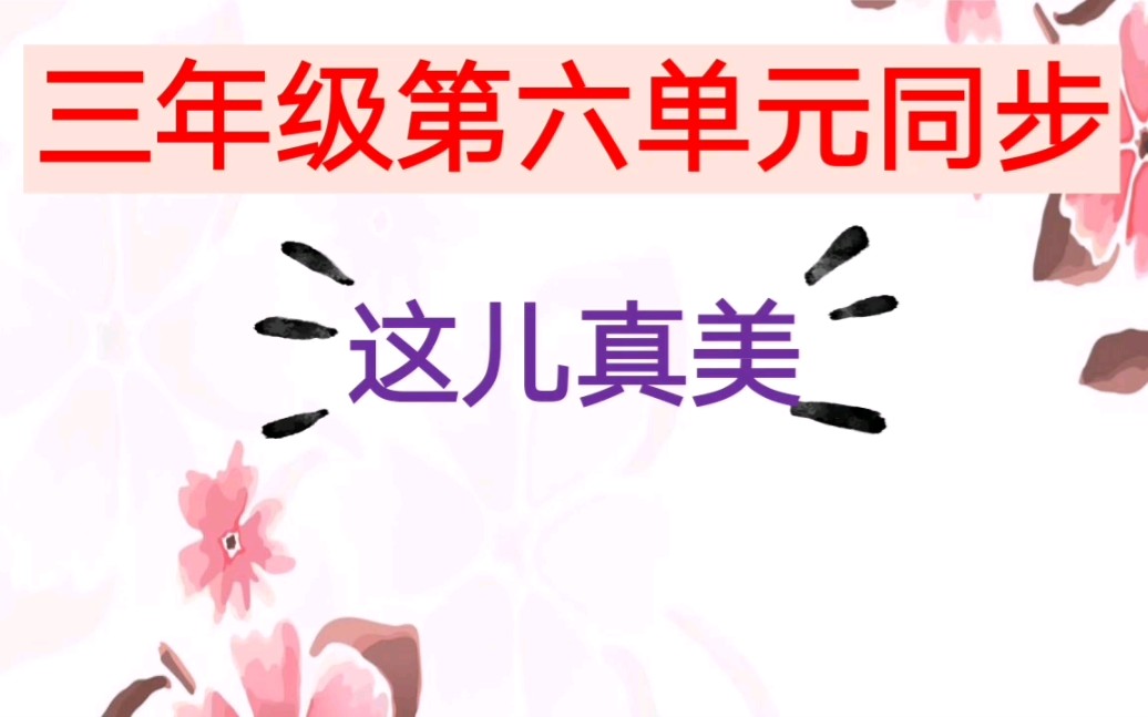 三年级第六单元同步:这儿真美哔哩哔哩bilibili