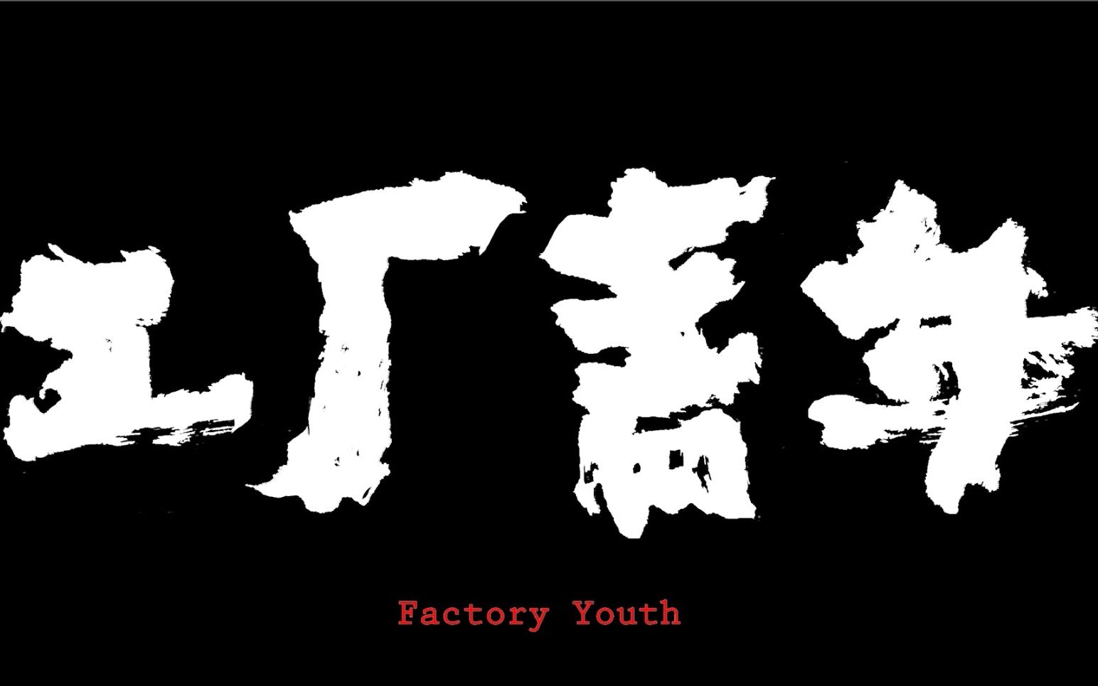 [图]【纪录片】工厂青年 Factory Youth (2016)