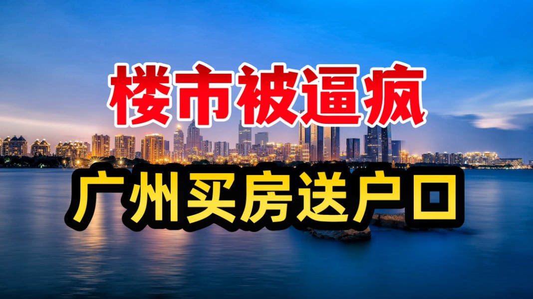 楼市被逼疯,广州买房“送户口”哔哩哔哩bilibili