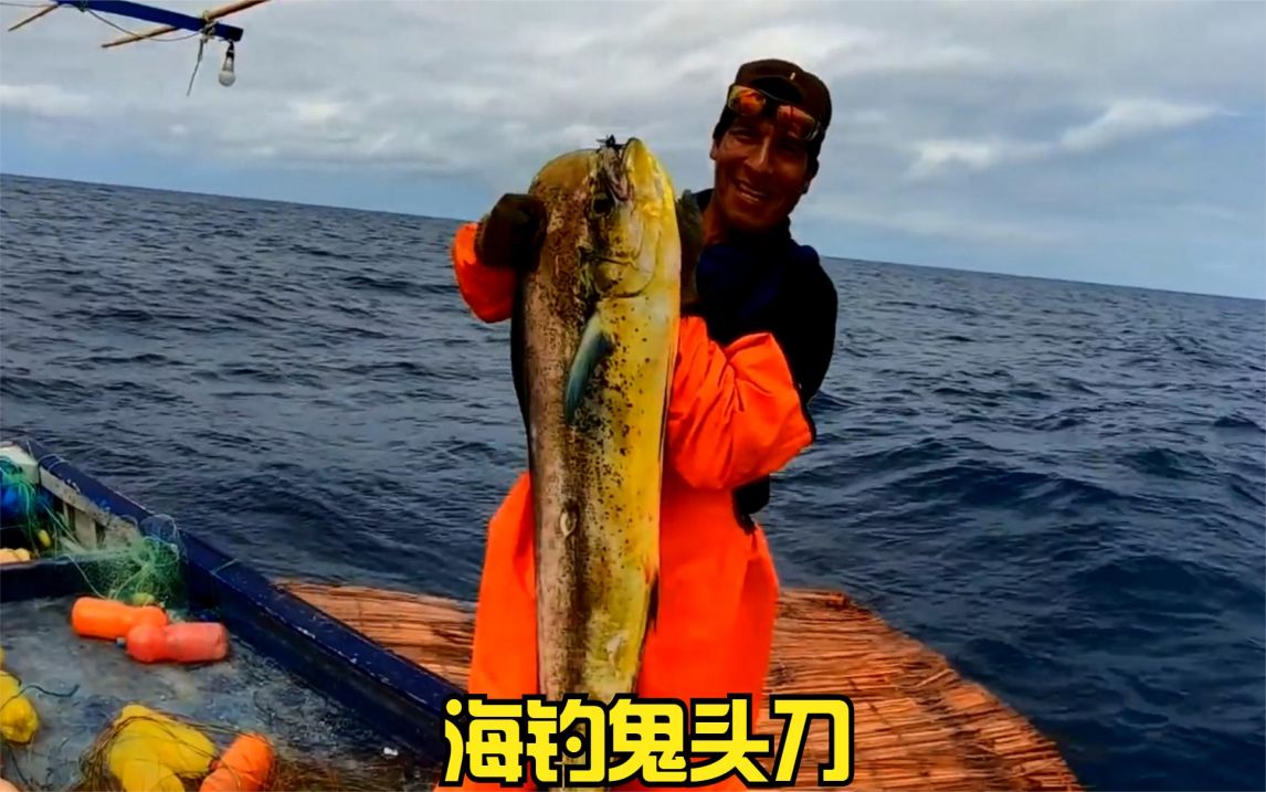 牛人釣上幾十斤重的鬼頭刀魚,放長線釣大魚連續上鉤幾十條