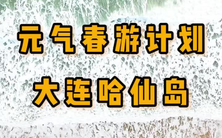 大连春游好去处,来哈仙岛体验原生态海岛乐趣.哔哩哔哩bilibili