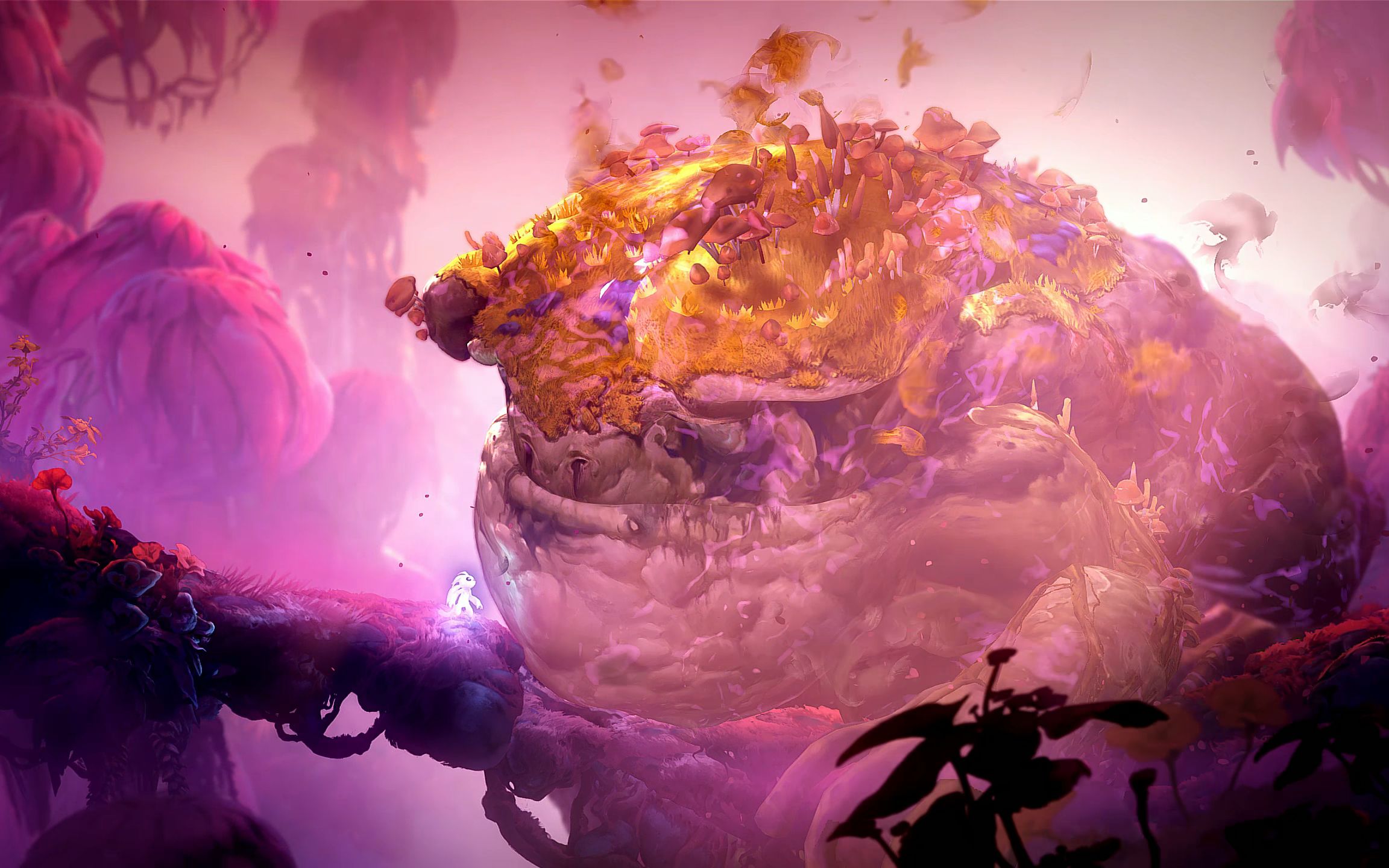 森林的守护者化作了光芒而逝去【精灵与萤火意志】(第八期)