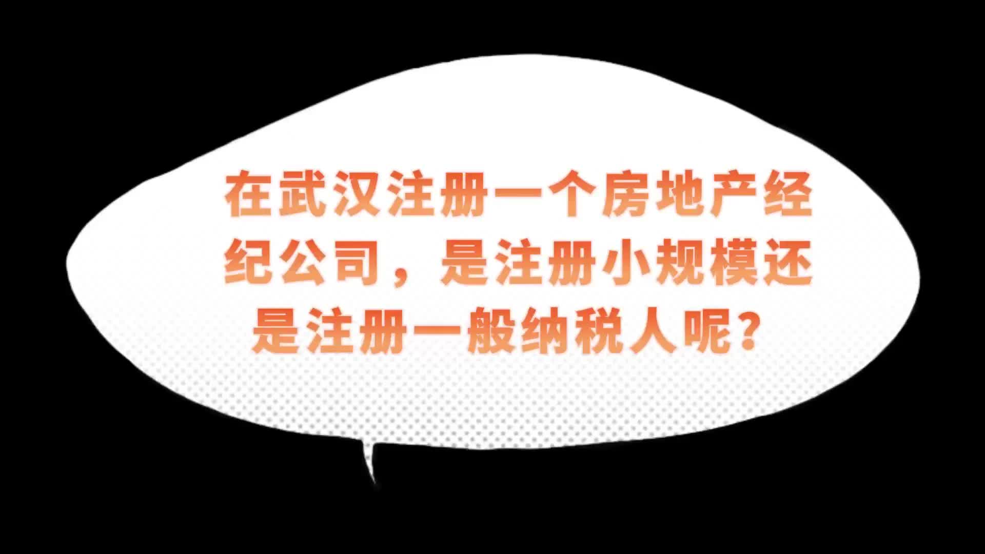 楚商财税讲堂:在武汉注册一个房地产经纪公司,是注册小规模还是注册一般纳税人呢?哔哩哔哩bilibili