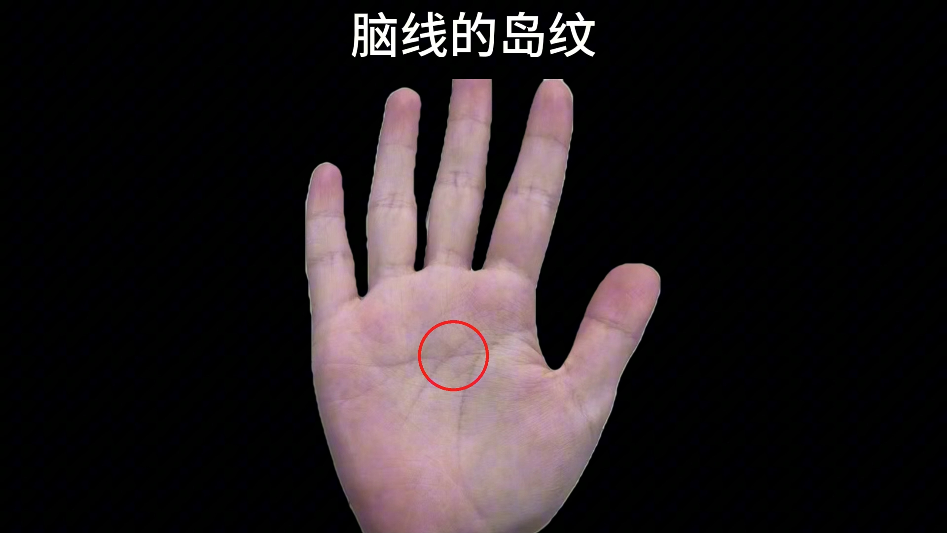 手相面相女主有条特别长的结婚线,这条结婚线穿过了三大主线,十分少见