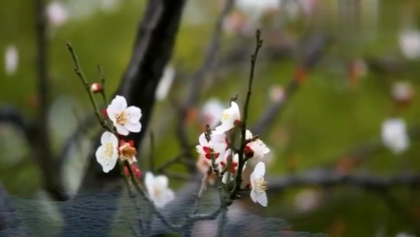 [图]《就算世界无童话》音乐片段欣赏