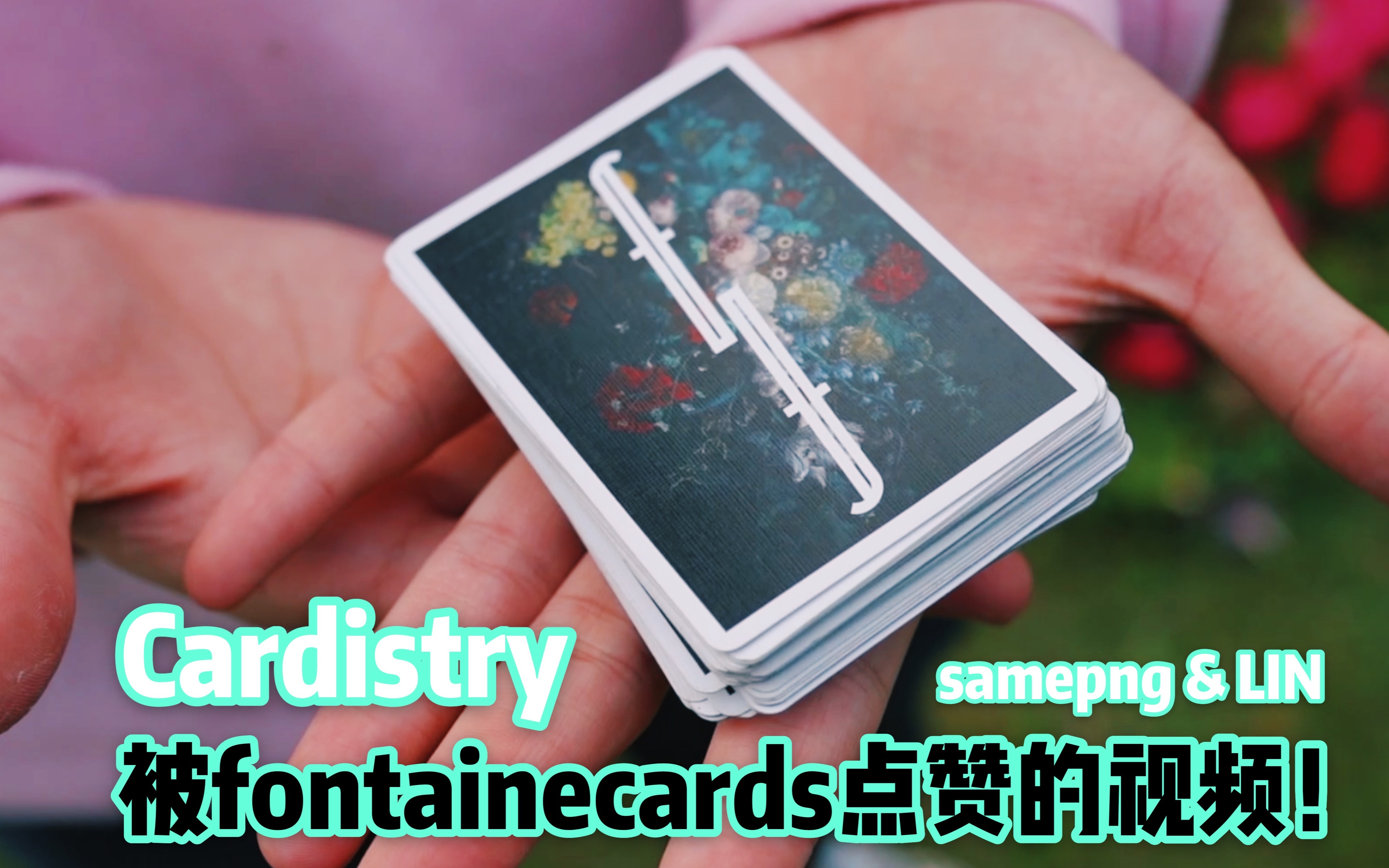 被fontainecards点赞的花切视频!哔哩哔哩bilibili