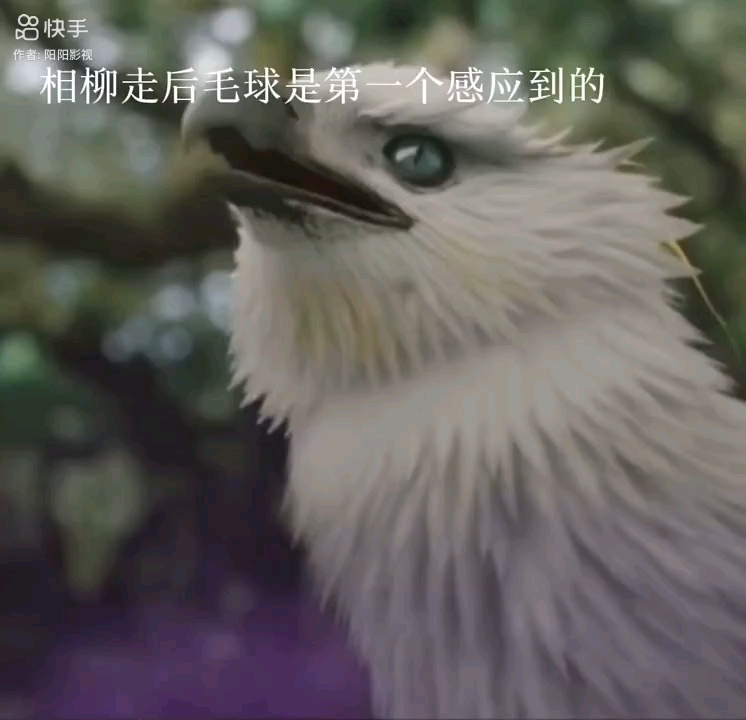 可怜的 毛球 相柳战死后没有了主人( 2900 ﹏ 0029 )*