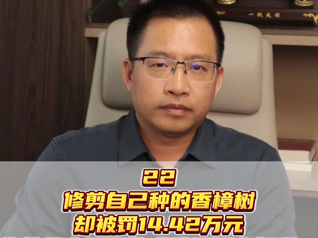 修剪自己种的香樟树却被罚14.42万元 修剪行为是否构成滥用民事权利?如何正确行使民事权利?哔哩哔哩bilibili