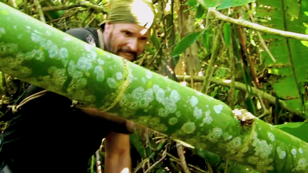 野外求生,荒野求生,荒野生存,野外生存技能,科迪和乔吃烤鱼,这种方法