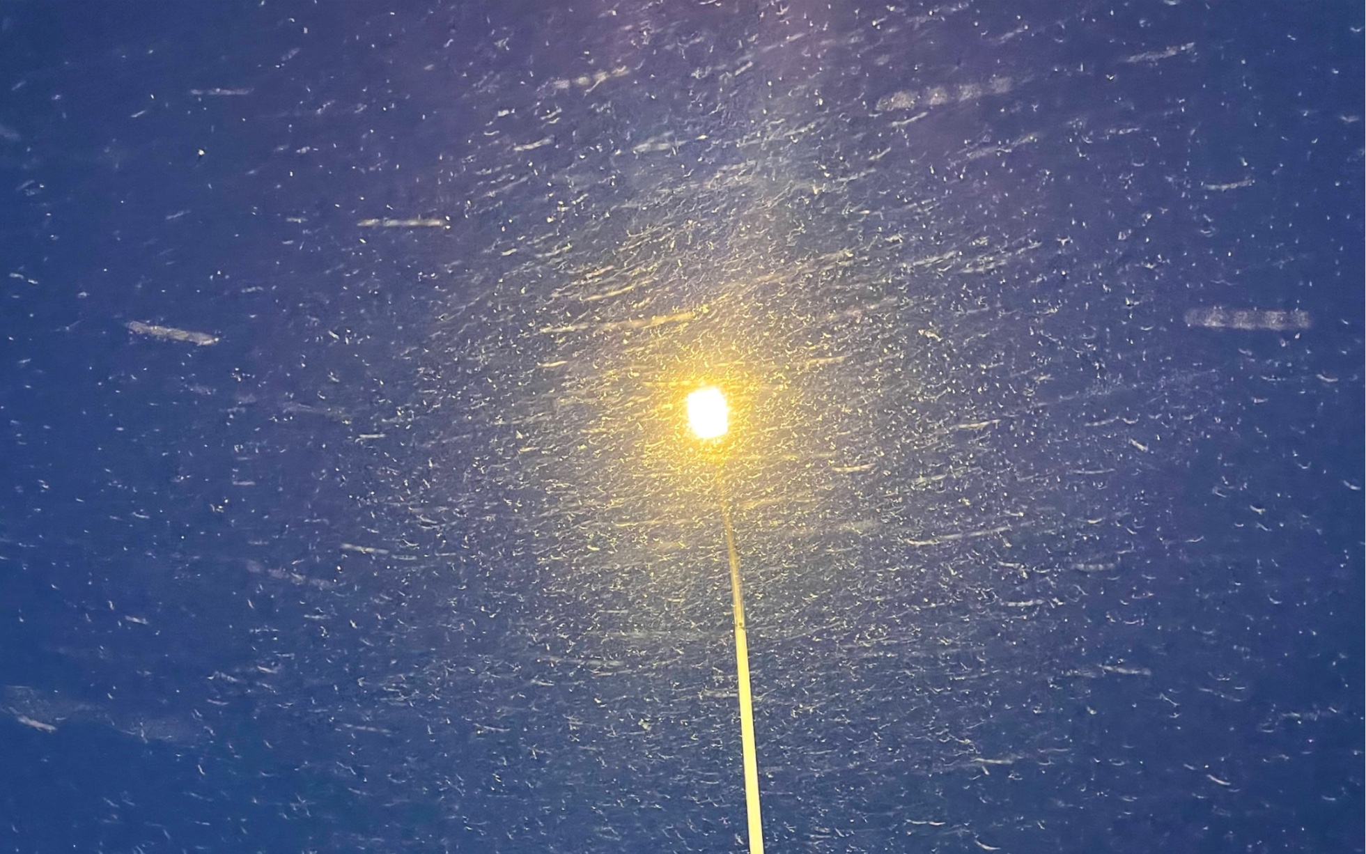 路灯 雪花 橘色 蓝色