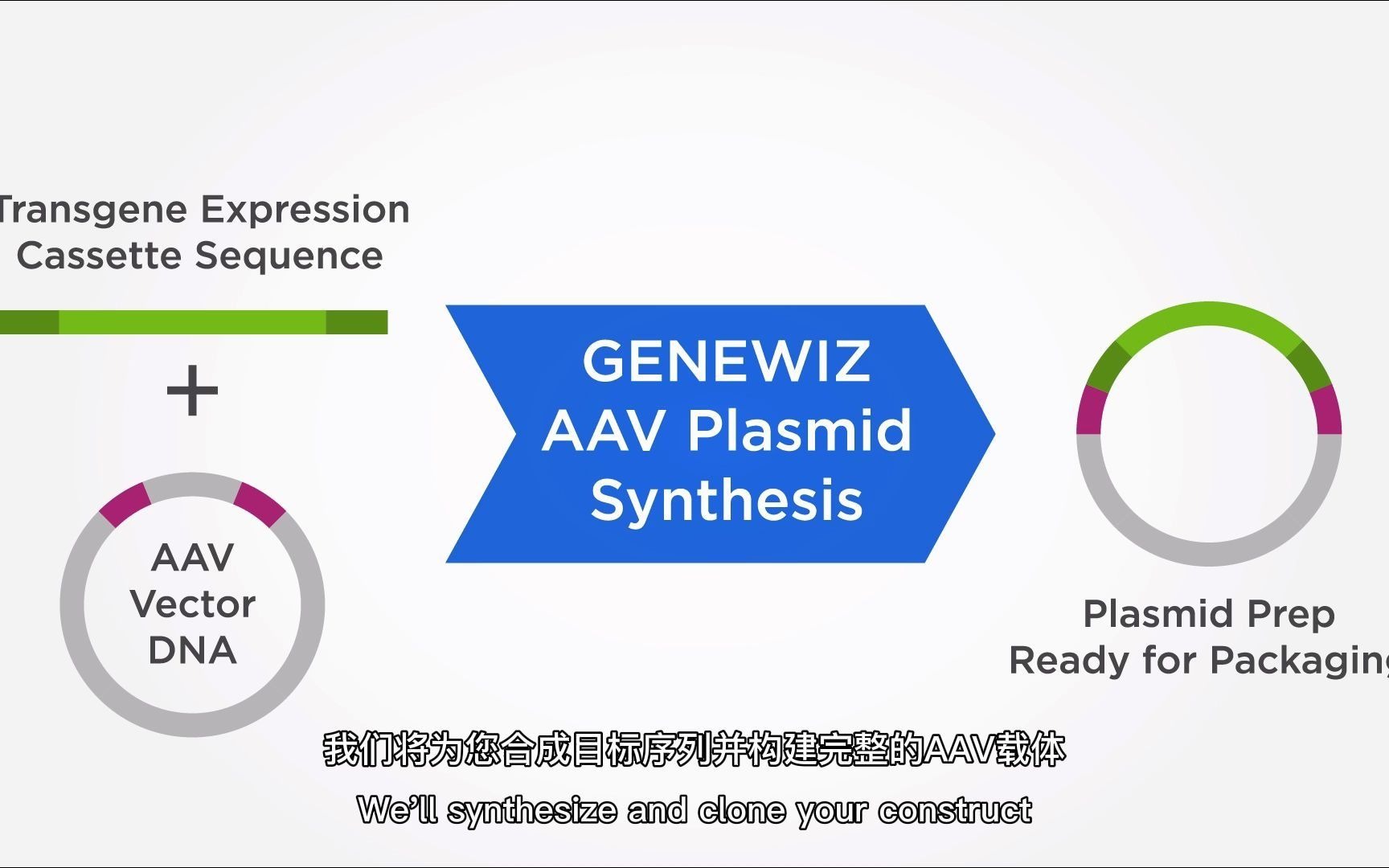 解决基因治疗痛点:金唯智专利AAV载体构建流程详解哔哩哔哩bilibili