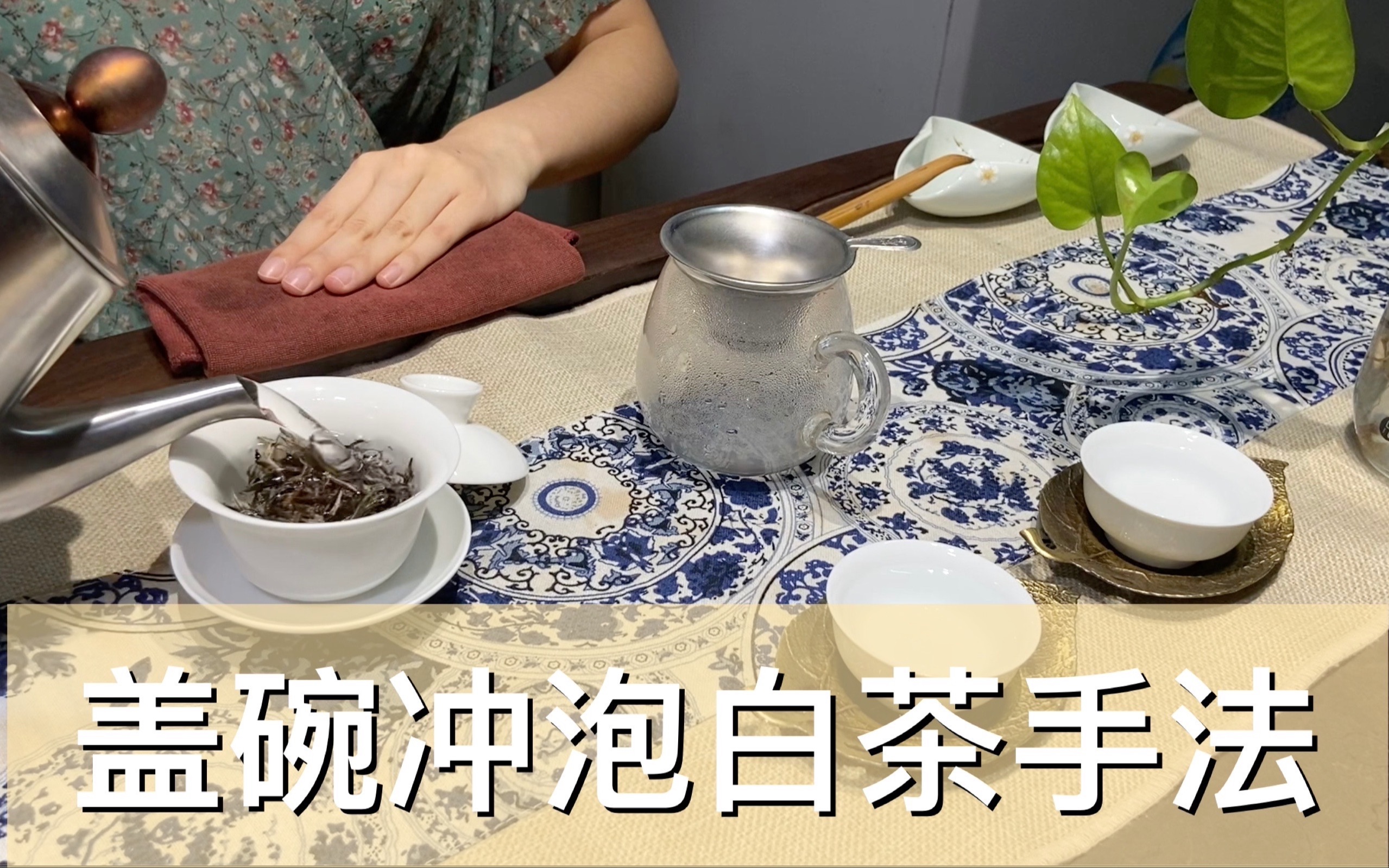 泡茶技巧之白茶1白茶分散茶和饼茶用盖碗冲泡时是有区别的哦