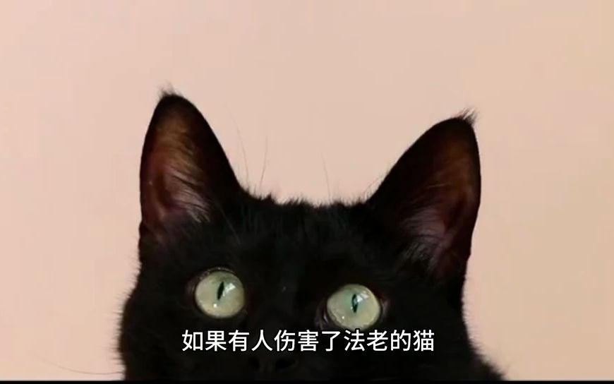 [图]法老的猫：古埃及文化中神圣的生物