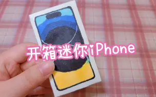 Download Video: 开箱自制迷你iphone