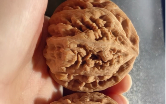 729号,4.6的平谷大粗筋喜欢来吧