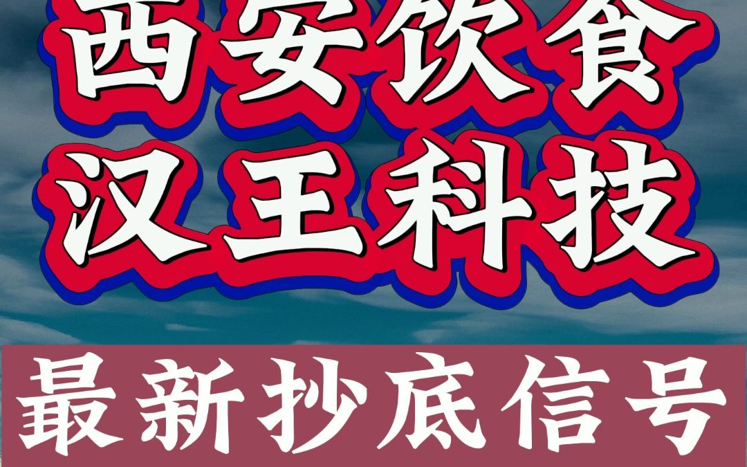 3.3西安饮食、汉王科技哔哩哔哩bilibili