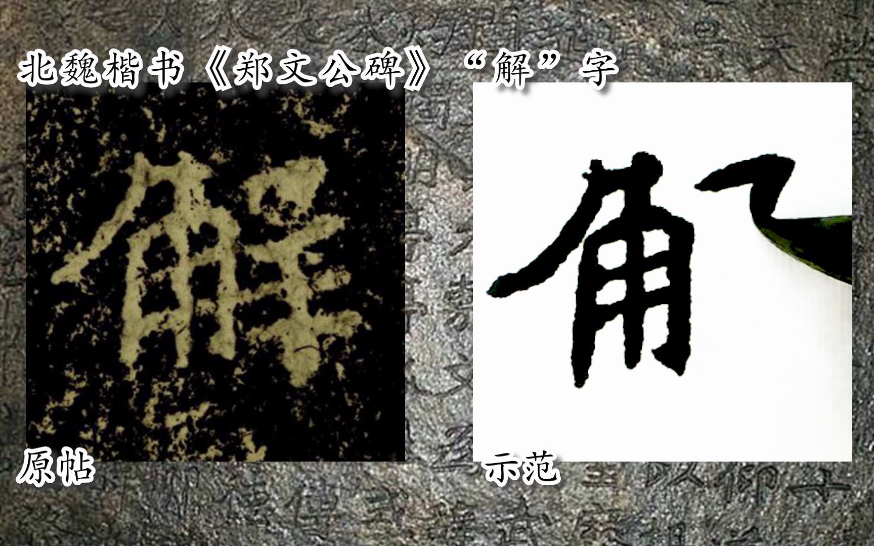 [图]【每日一字】书法视频，周东芬临北魏楷书《郑文公碑》“解”字